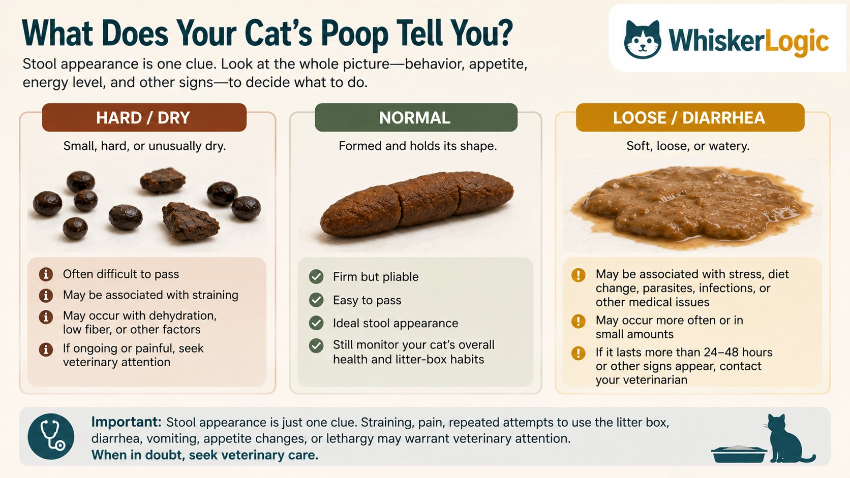 Cat stool comparison showing hard, normal, and loose stool
