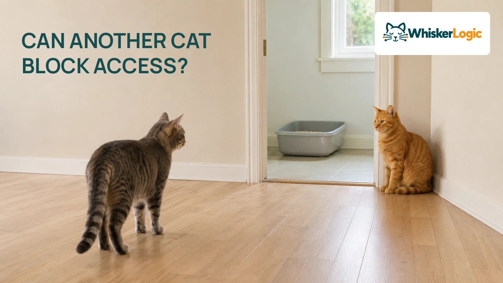 A gray tabby pauses while an orange cat sits near the doorway leading to a litter box.