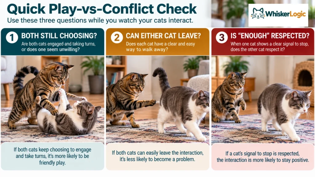 Three-question check for cat interactions: whether both cats keep participating, can leave, and respect attempts to stop